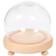 thumbnail image 1 of Preserved Flower Glass Dome w/ Wood Base 1 Set Glass Display Case Cloche Decor 80 110 Characters, 1 of 6