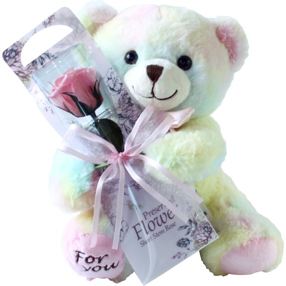 Preserved Flower, Preserved Rose, Rainbow colored Teddy Bear with Single Red Rose, Gift, Celebration, Anniversary, Birthday, Flower Arrangement, Flower Gift, Everlasting Rose, Flowers, For Women A101