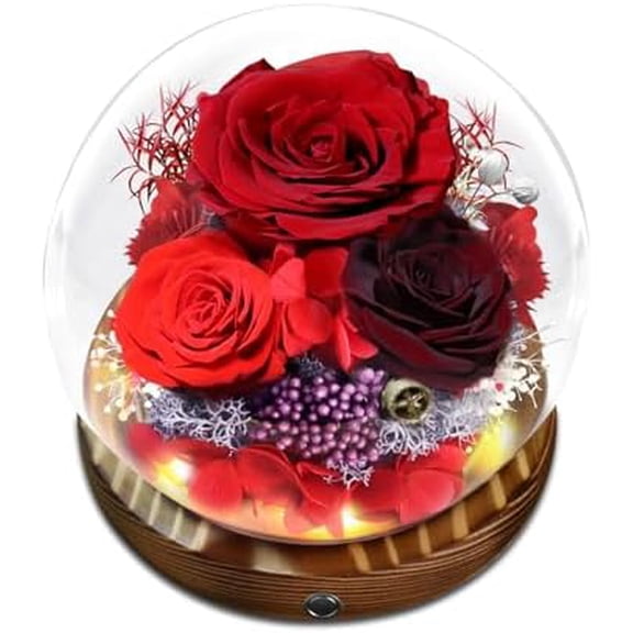 Preserved Flower Red Rose in Glass, Eternal Roses Gifts for Women, Mom, Girlfriend, Wife, Her on Christmas, Valentine's Day, Mother's Day, Birthday, Anniversary$$Home Decor, Kitchen, & Other