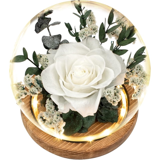 Preserved Flowers Gifts for Women, White Preserved Roses in Glass Dome ...