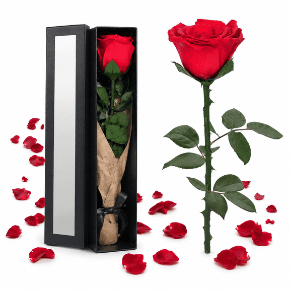 Preserved Flowers Gifts for Women: Single Rose Red