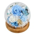 thumbnail image 1 of Preserved Flowers in Glass Dome with LED Light, Roses Gifts on Birthday, Christmas, Valentines Day for Girls, Wife, Friends, Gifts for Women Mom Grandma, 1 of 6
