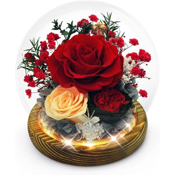 Preserved Flowers, Preserved Rose Gifts for Women, Real Eternal Red Roses in Glass Dome with LED Lights, Christmas Valentines Mother's Day Birthday Anniversary Gifts for Her Women Mom Wife Girlfriend