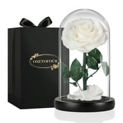 Preserved Roses in Glass Dome with LED Light – Real Long-Lasting Roses, Eternal Flowers for Delivery, Mothers Gift for Her, Mom, Wife, Anniversary and Birthday Presents for Women, Champagne