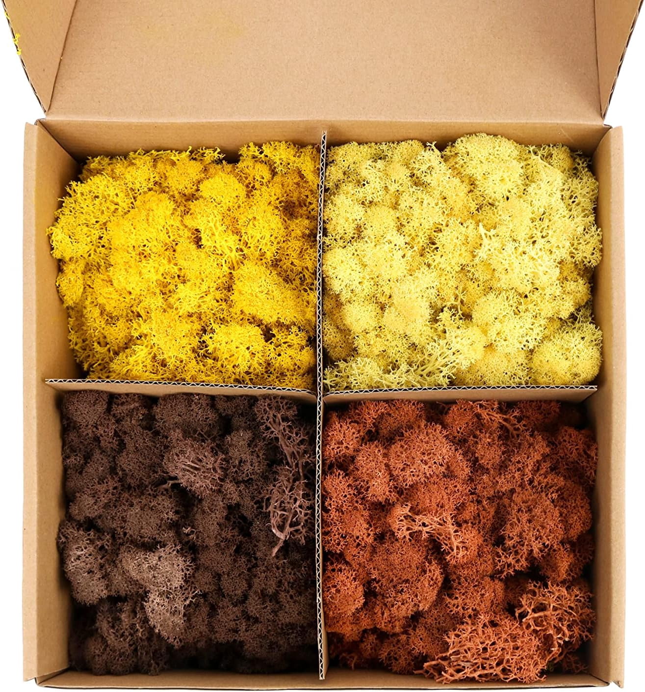 Preserved Moss 4 Color Reindeer Moss,Total 14OZ Each Color 3.5OZ ...