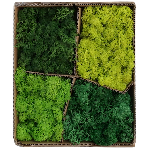 Preserved Moss Box with Four Shades of Green, PE Material Artificial Moss for DIY Terrarium, Wall Art, Model Landscaping & Home Decor, Freshness Kept, No Watering Needed