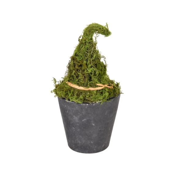 Preserved Moss Pointed Top Decorative Potted Plant, Halloween Retro Witch Hat Style Desktop Ornament, Grey Cement Textured Pot for Home Window Display