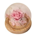 thumbnail image 1 of Preserved Real Flower Glass Dome Eternal Carnation Rose Display For Home Tabletop Decor Gift, 1 of 9