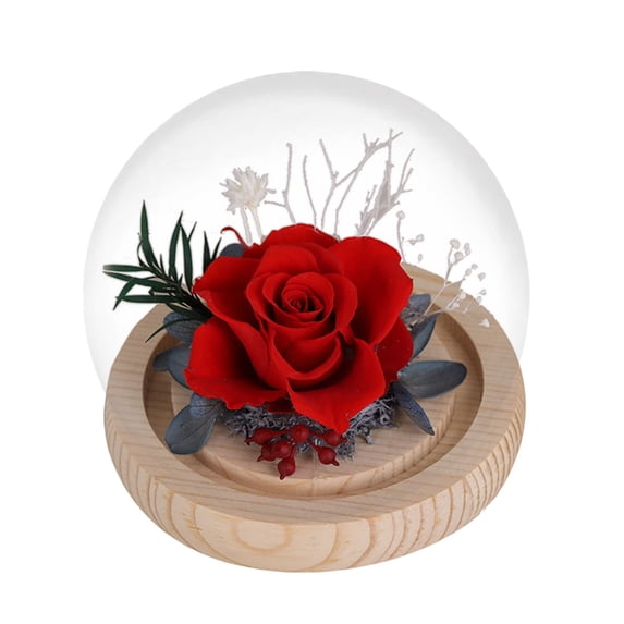 Preserved Real Flower Glass Dome Eternal Carnation Rose Display For Home Tabletop Decor Gift