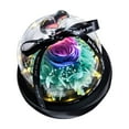 thumbnail image 1 of Preserved Real Rose with LED Light Eternal Flower Gift in Glass Dome, Forever Flowers Rose Gift for Birthday Anniversary Home Decoration Keepsake, Flowers Gift, 1Pc, Multicolor(Mixcolor,6x6x6.5"), 1 of 9
