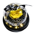 thumbnail image 1 of Preserved Real Rose with LED Light in Glass Dome – Eternal Flower Gift for Mom, Grandma, Wife, Birthday, Mother's Day, Valentine's Day, Christmas, Anniversary, 1 of 9