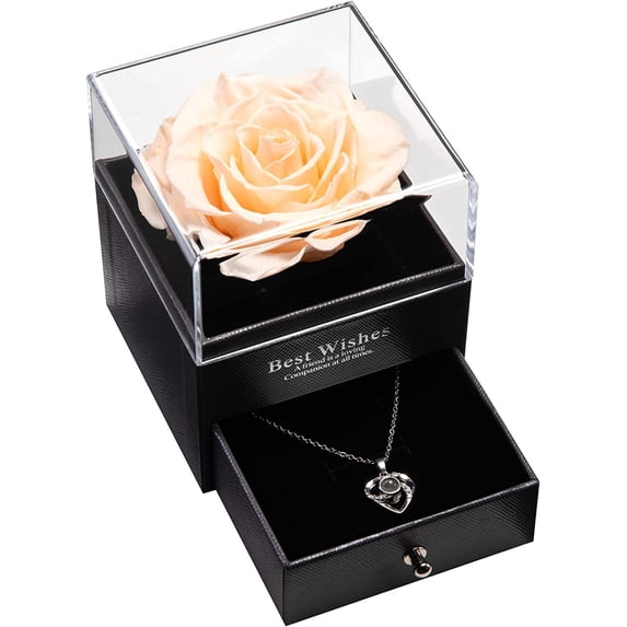 Preserved Real Rose with Silver-Tone Heart Necklace I Love You in 100 Languages Gift Set, Enchanted Real Rose Flower for Valentine's Day Anniversary Wedding Romantic Gifts for her (Red with Gold)