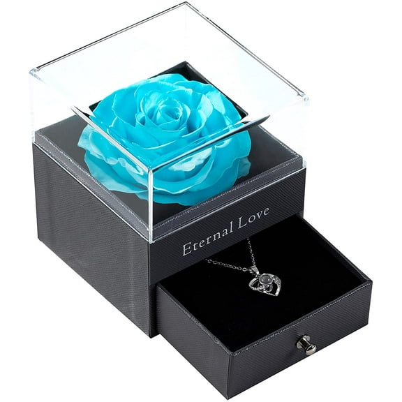 Preserved Real Rose with Silver-Tone Heart Necklace I Love You in 100 Languages Gift Set, Enchanted Real Rose Flower for Valentine's Day Anniversary Wedding Romantic Gifts for her (Red with Gold)