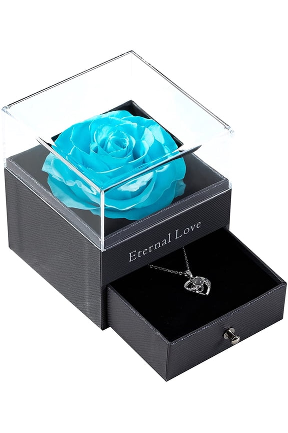 Preserved Real Rose with Silver-Tone Heart Necklace I Love You in 100 Languages Gift Set, Enchanted Real Rose Flower for Valentine's Day Anniversary Wedding Romantic Gifts for her (Red with Gold)