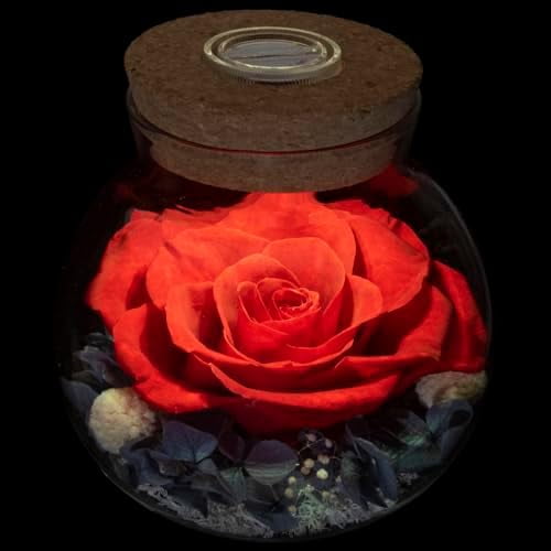 Preserved Real Roses with Colorful Mood Light ing Bottle, Eternal Rose,Never Withered Flowers, Table Decor,Christmas Anniversary Valentine's, Red 4.3inch, 1pcs