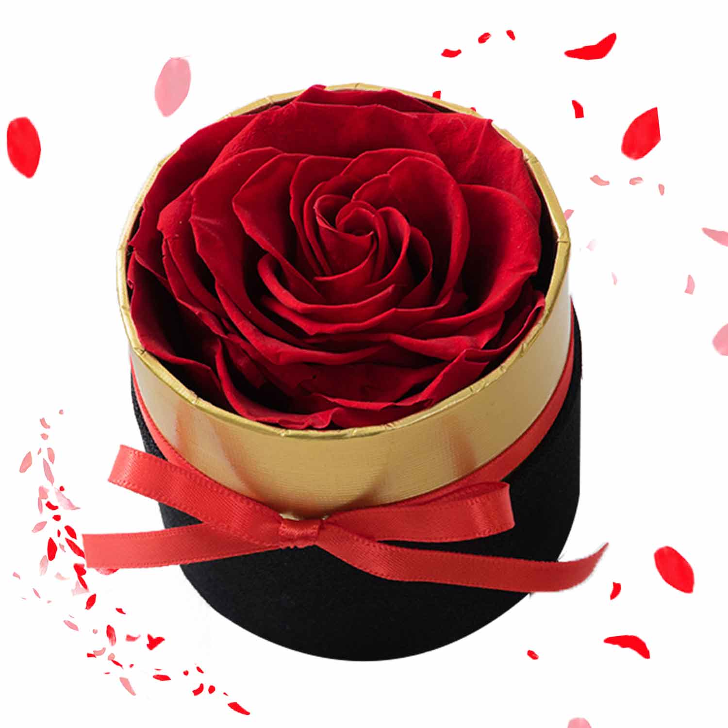 Preserved Real Roses, Forever Fresh Flowers Valentines Day Eternal Rose