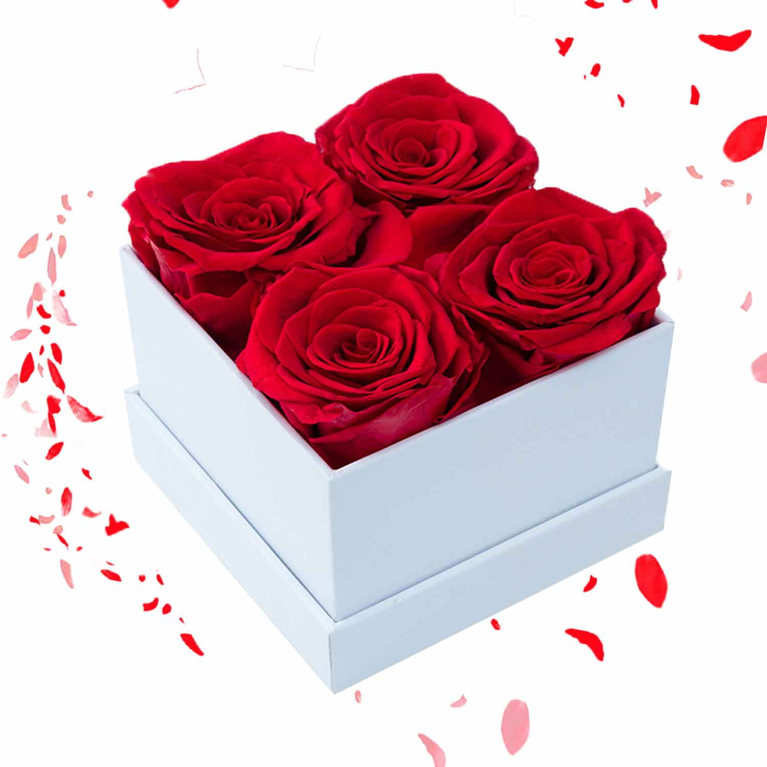 Preserved Real Roses, Forever Fresh Flowers Valentines Day Eternal Rose