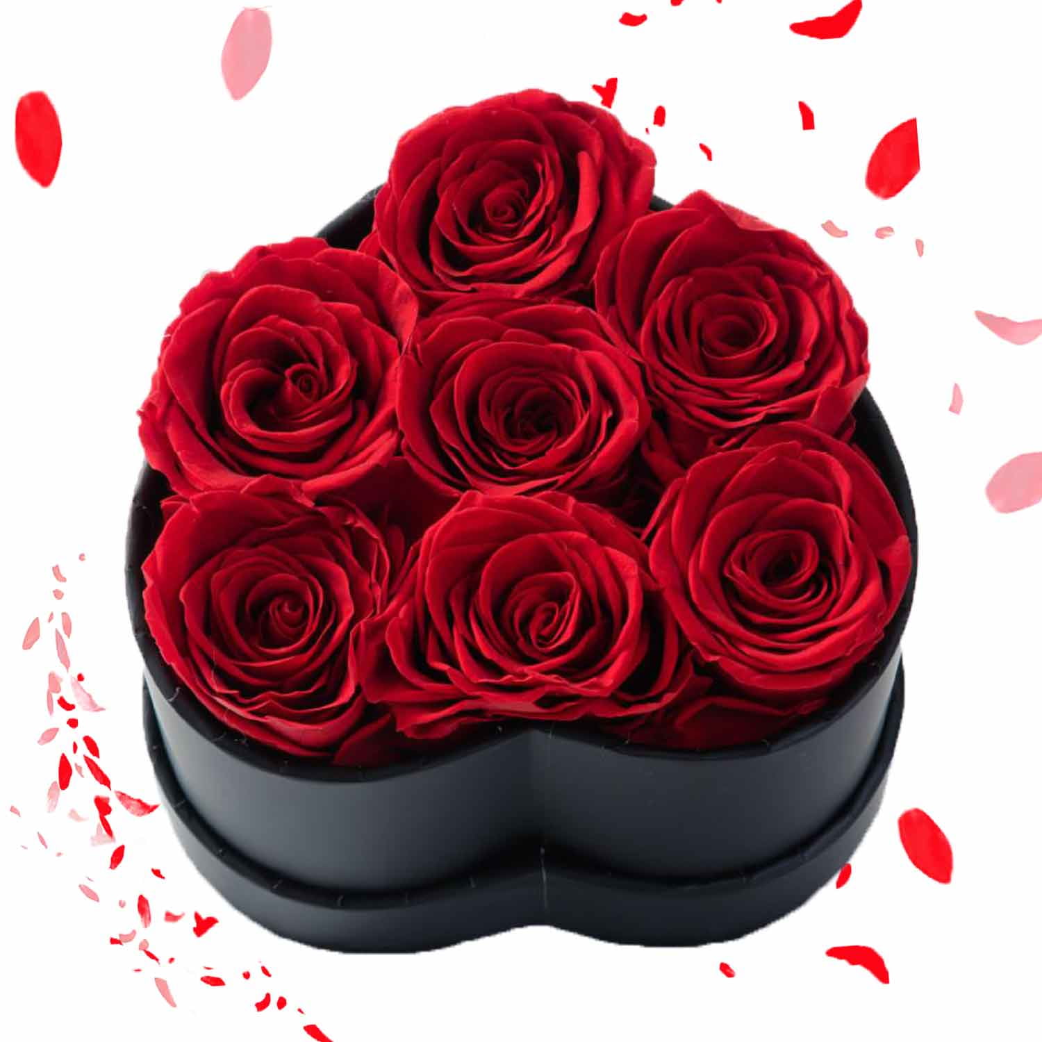 Preserved Real Roses, Forever Fresh Flowers Valentines Day Eternal Rose