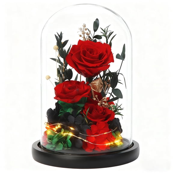 Preserved Red Rose in Glass Dome with LED Lights Centerpiece