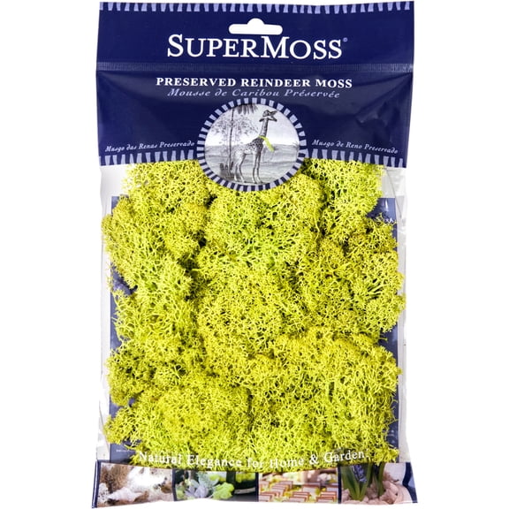 Preserved Reindeer Moss 2oz