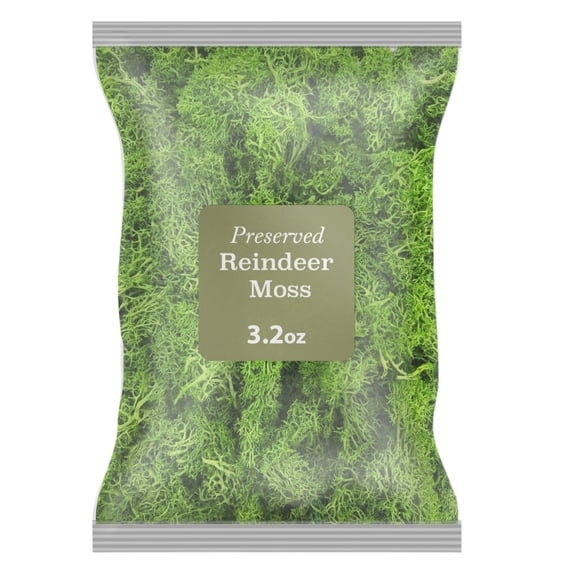 Preserved Reindeer Moss Emerald Green 0.2 lb, by 90210 Kitchen and Bath