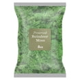 thumbnail image 1 of Preserved Reindeer Moss Green 0.5 lb, by 90210 Kitchen and Bath, 1 of 4