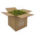 thumbnail image 1 of Preserved Reindeer Moss - Premium Decorative Moss for Crafts, Home Décor, Art, Design & DIY Projects - Real Moss - Non-Toxic, USA-Made (Spring Green, Box), 1 of 4
