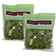 Preserved Reindeer Moss - Premium Decorative Moss for Crafts, Home D cor, Art, Design & DIY Projects - Real Moss - Non-Toxic, USA-Made Spring Green, Medium 2-Pack