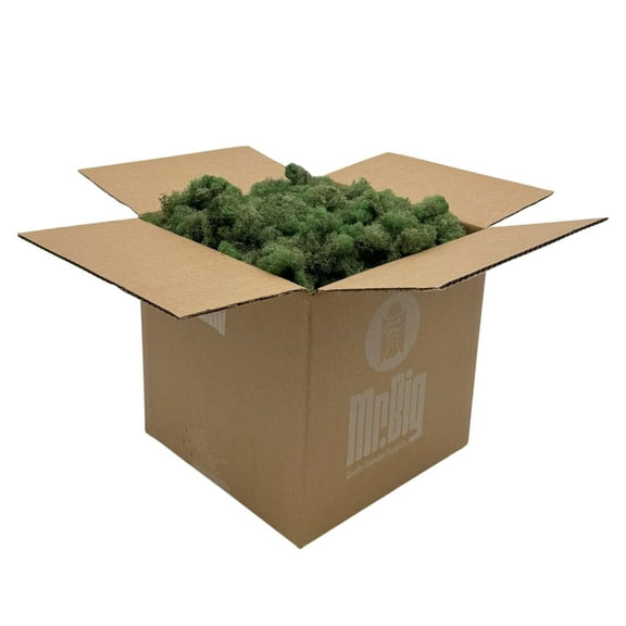 Preserved Reindeer Moss - Premium Decorative Moss for Crafts, Home Décor, Art, Design & DIY Projects - Real Moss - Non-Toxic, USA-Made (Basil, Box)