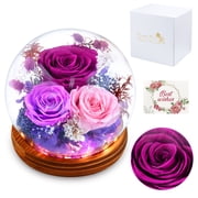 Oziral Gifts for Mom Flowers for Delivery, Birthday Gifts for Women, Dried Rose with LED Light, Forever Flowers for Valentines Day, Anniversary, Purple