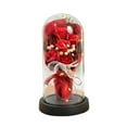 thumbnail image 1 of Preserved Rose Bouquet in Glass Dome with LED Lights, 7 Red Eternal Roses and Baby's Breath, Valentine's Day Gift for Women, Anniversary Gift Set, Home Table Decor, Forever Flower Arrangement, 1 of 7