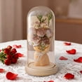 thumbnail image 1 of Preserved Rose Bouquet with LED Lights, Artificial Roses Gift for Valentine's Day, Anniversary, Home Desk Decor, Faux Flowers for Women, No Maintenance, Khaki, 1 of 5