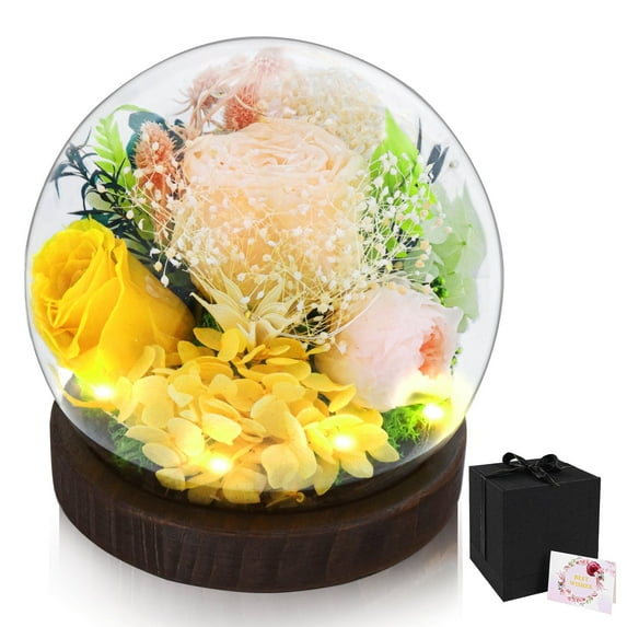 Preserved Rose Flowers for Women, Flowers Bouquet in Glass Dome with LED Lights, Gifts for Valentine's Day, Mother's Day