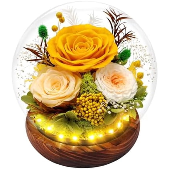 Preserved Rose Forever Flowers in Glass Dome Gifts for Women, Long-Lasting Real FlowersRed Eternal Rose Birthday Gifts for Mom Valentines Day Anniversary for Wife Girlfriend