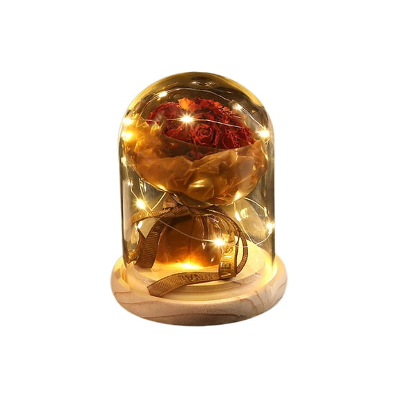 Preserved Rose Lantern with Glass Dome - Dried Flower Night Light, Romantic Valentine's Day Gift, Graduation Home Decor (White/Brown)