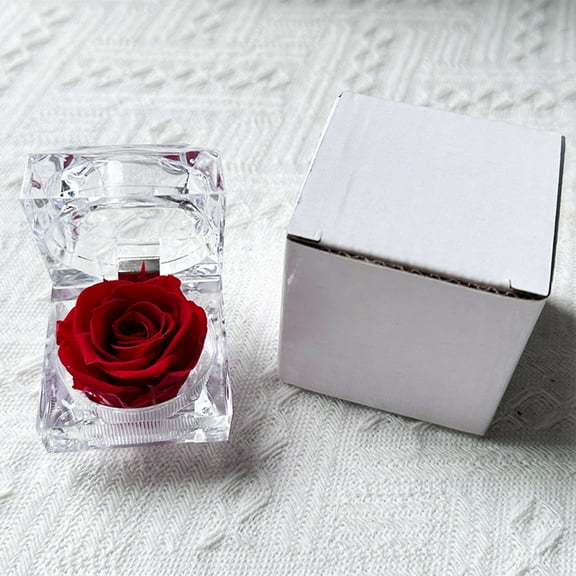 Preserved Rose Never Withered Eternal Fresh Emotion With Transparent Acrylic Jewelry Box Packaging Valentine's Day Birthday Anniversary Gift Decor Home Office Wedding Party