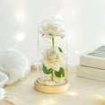 thumbnail image 1 of Preserved Rose Night Light in Glass / Dome - LED Light Up Eternal Rose for Valentineâs Day, Anniversary, Birthday | 21.5cm Tall, /Glass Options, 1 of 3