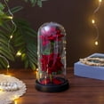 thumbnail image 1 of Preserved Rose Night Light in Glass / Dome - LED Light Up Eternal Rose for Valentineâs Day, Anniversary, Birthday | 21.5cm Tall, /Glass Options, 1 of 4