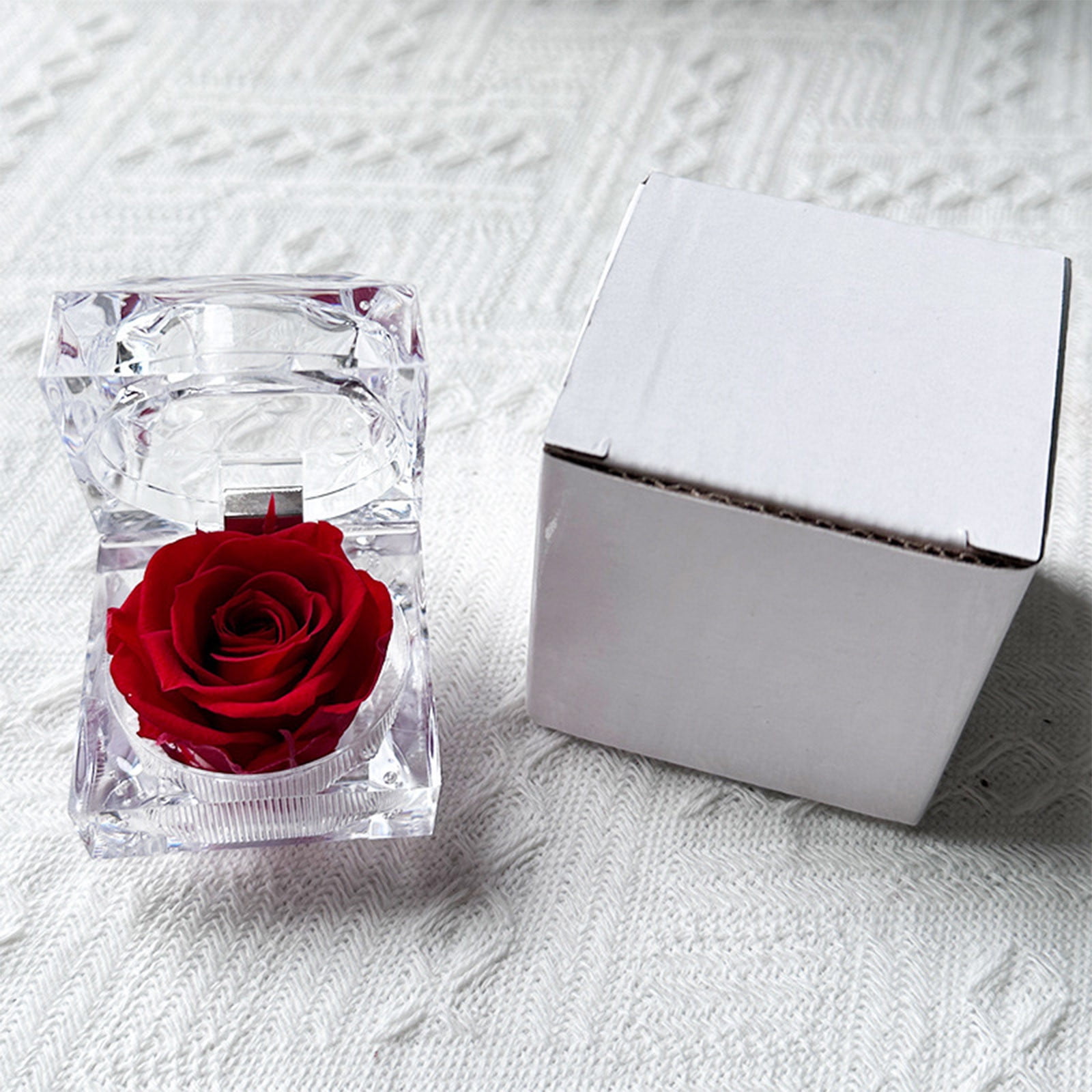 Preserved Rose Real Fresh Rose in Mini Clear Ring Box, Eternal Flower Rose Gifts for Women Mom Girlfriend Grandma, Mothers Day, Anniversary, Valentines, Christmas, Birthday (Red)