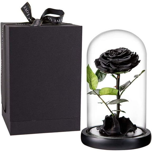 Preserved Roses Black Roses in Glass Dome, Medium, Real Rose That Last 2 to 3 Years, Black Roses Gifts for Her (7.5 inch)