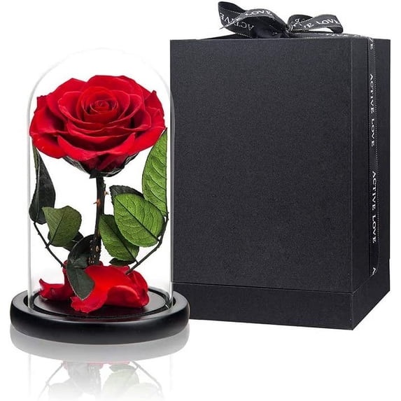 Preserved Roses Black Roses in Glass Dome, Medium, Real Rose That Last 2 to 3 Years, Black Roses Gifts for Her (7.5 inch)
