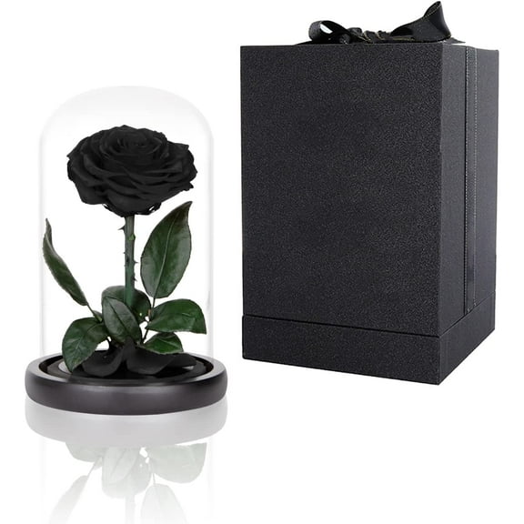 Preserved Roses Black Roses in Glass Dome, Medium, Real Rose That Last 2 to 3 Years, Black Roses Gifts for Her (7.5 inch)