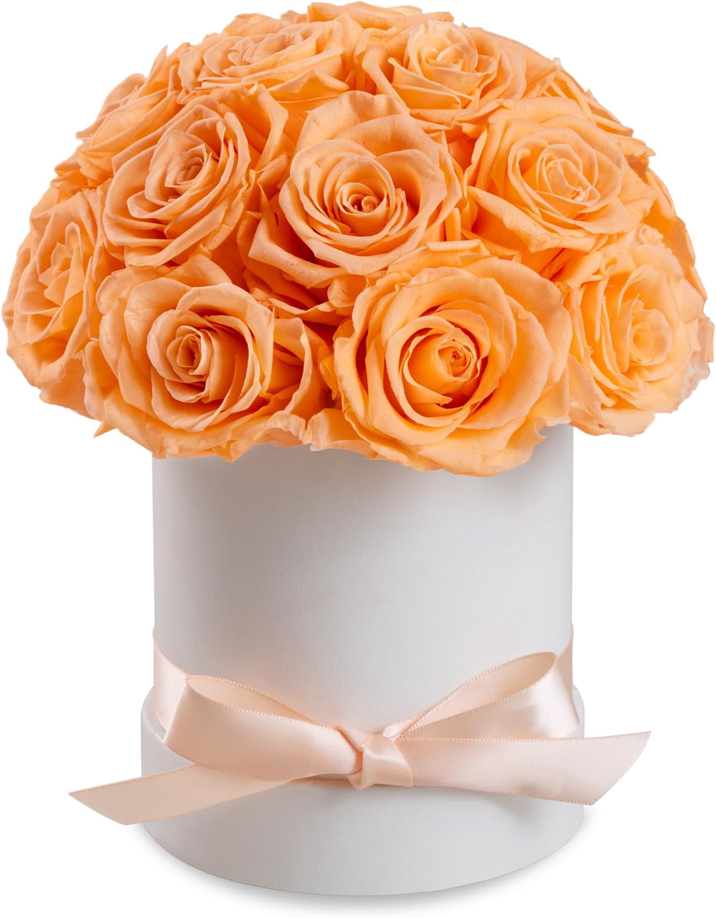 Forever Real Roses Preserved Roses Dome in a Box, Forever Real Roses Decor, Eternal s for ...