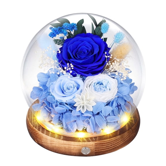 Preserved Roses in Glass Dome with LED Light – Real Long-Lasting Roses, Eternal Flowers for Delivery, Mothers Gift for Her, Mom, Wife, Anniversary and Birthday Presents for Women, Blue