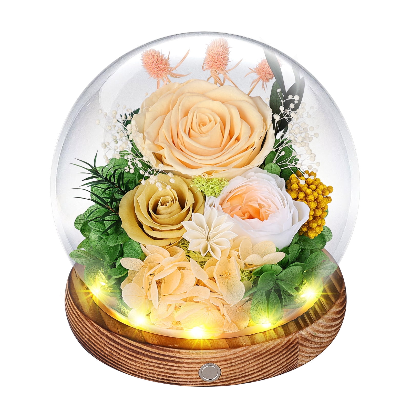 Preserved Roses in Glass Dome with LED Light – Real Long-Lasting Roses ...