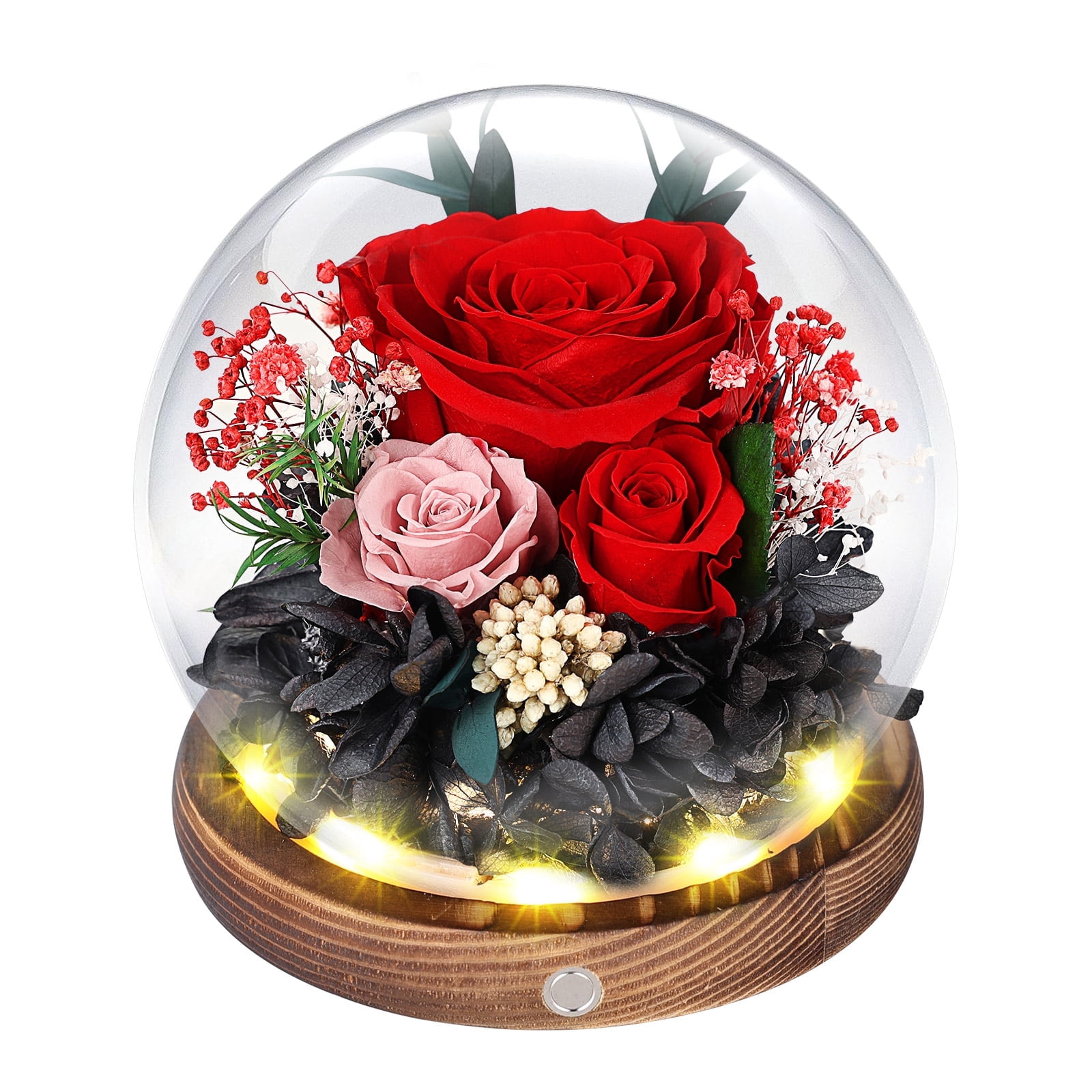 Preserved Roses in Glass Dome with LED Light – Real Long-Lasting Roses ...