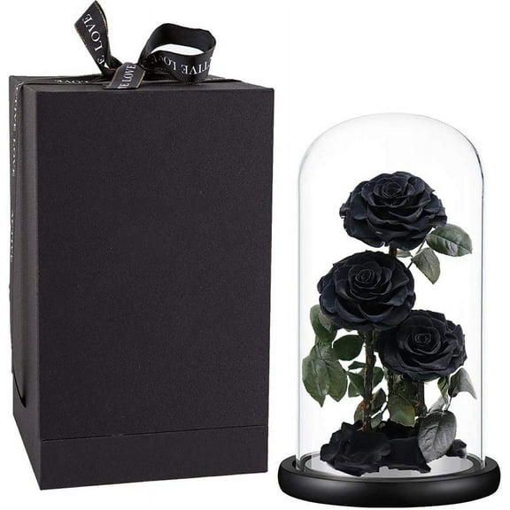 Preserved Roses Handmade Preserved Real Rose in Glass Dome, Black Roses Never Withered, Birthday Gifts for Her (13 inch)