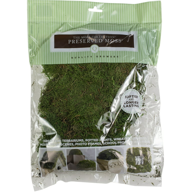 Sheet Moss (Hypnum) Natural & Dry 8oz / 16oz Retail - 12 pack – Moss Acres