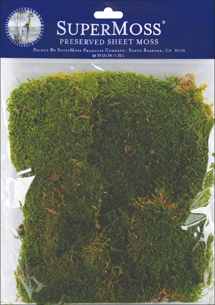20 Green Sheet Moss Roll: 48 [TT662909] 