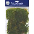 Preserved Sheet Moss 2oz Green